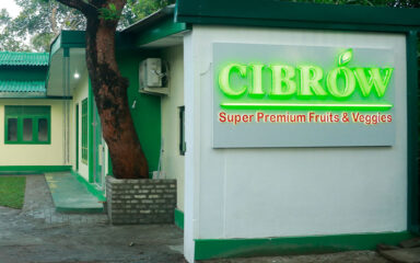 CIBROW Factory Opening